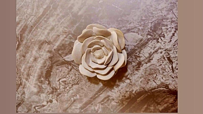 قالب سیلیکونی گل نسترن کد ۵۵۸۲