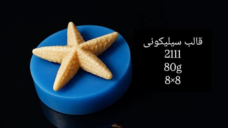 قالب سیلیکونی دریایی کد ۲۱۱۱/۰۷۵