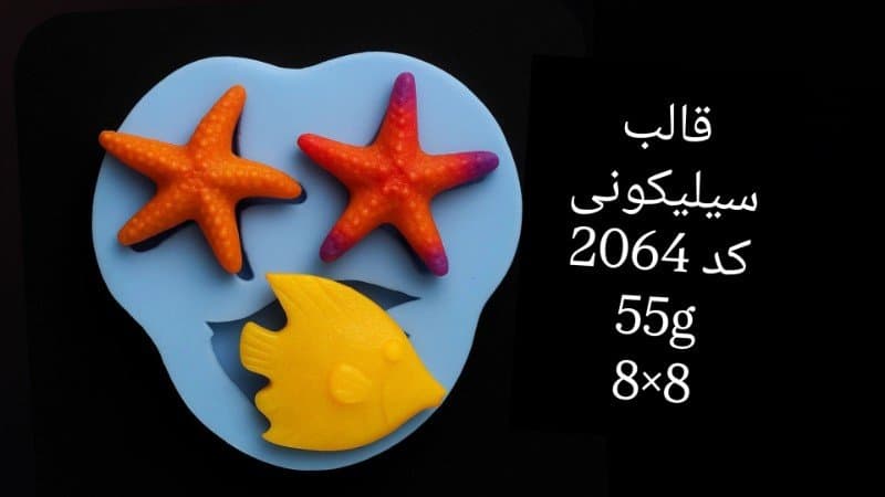قالب سیلیکونی دریایی کد ۲۰۶۴/۰۶