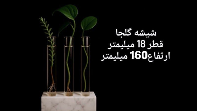 شیشه گلجا