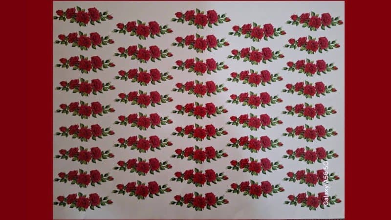 ترانسفر حاشیه کد T1819